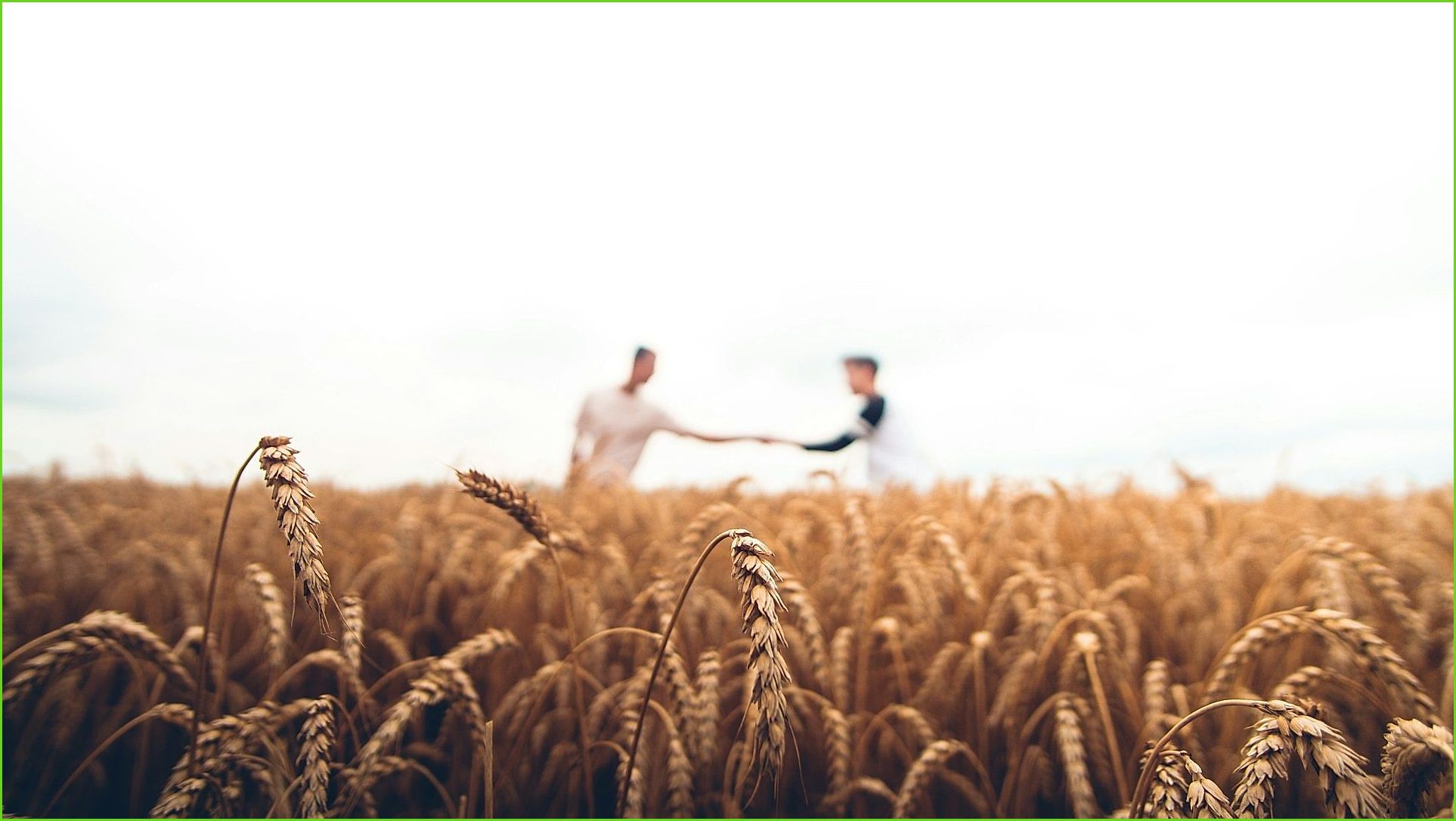 Familia agricultora mexicana en campo orgánico